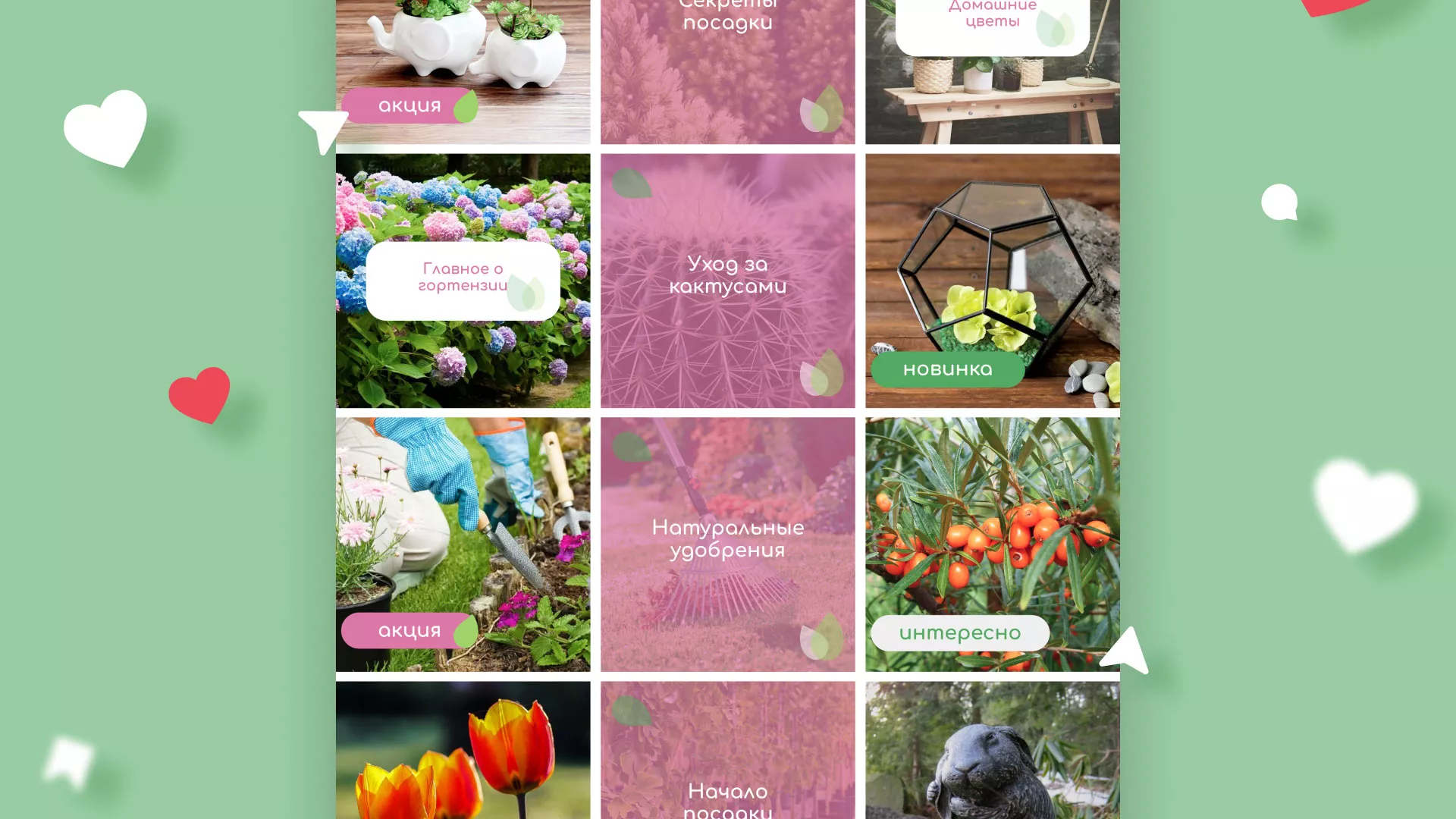 Разработка оформления профиля Instagram для магазина «Floraint» в Островном